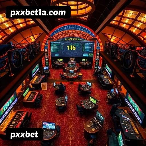 Termos e Condições Transparentes pxxbet